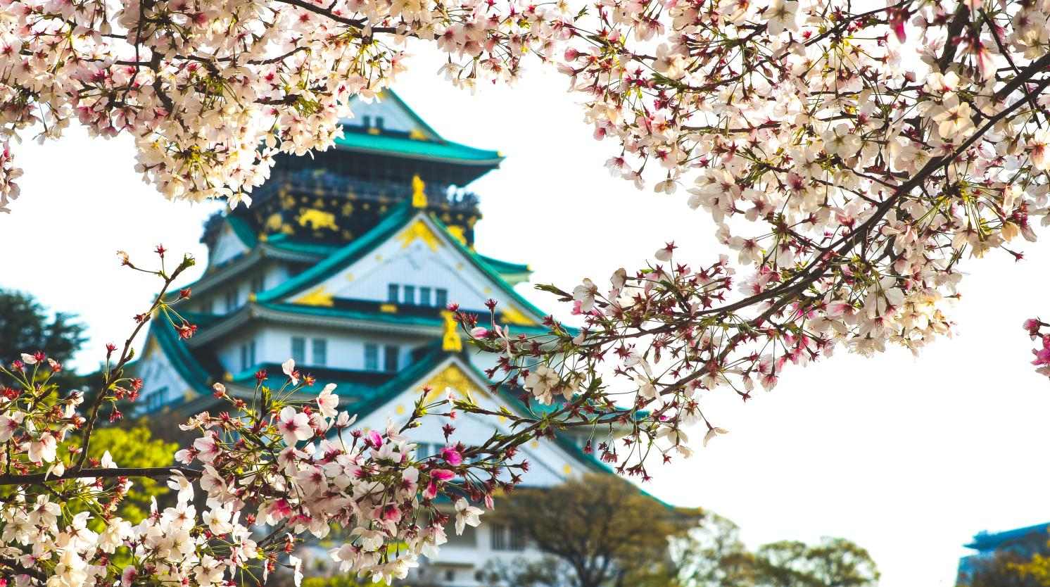 Exploring Japan: A Journey Through Unique Culture and Must-See Destinations